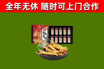黄浦区烟酒回收冬虫夏草礼盒.jpg